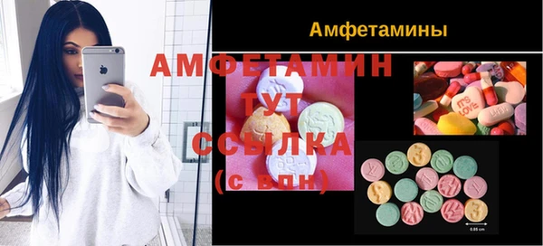 индика Баксан