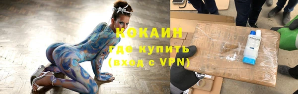 индика Баксан