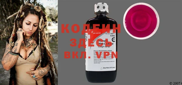 индика Баксан