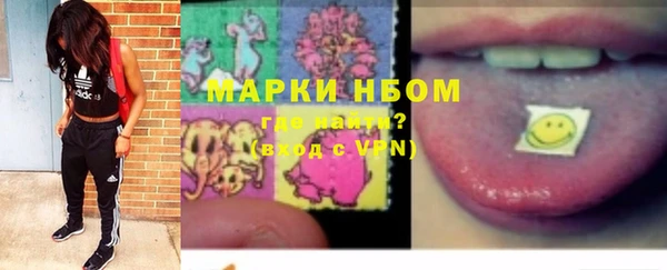 индика Баксан