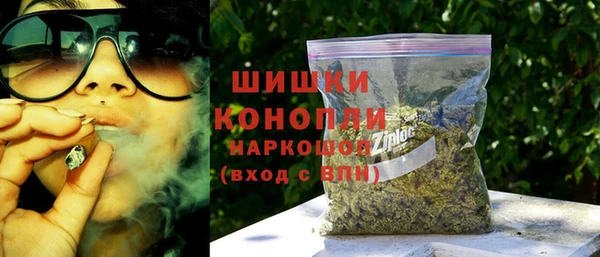 индика Баксан
