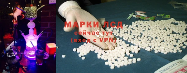 индика Баксан