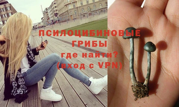 индика Баксан