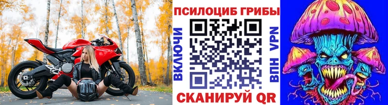 KRAKEN рабочий сайт  Славгород  Галлюциногенные грибы мухоморы 