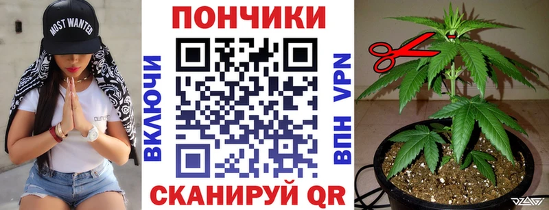 Конопля планчик  Славгород 